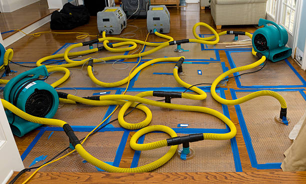 Professional Water Damage Repair technician working in Fischer, TX